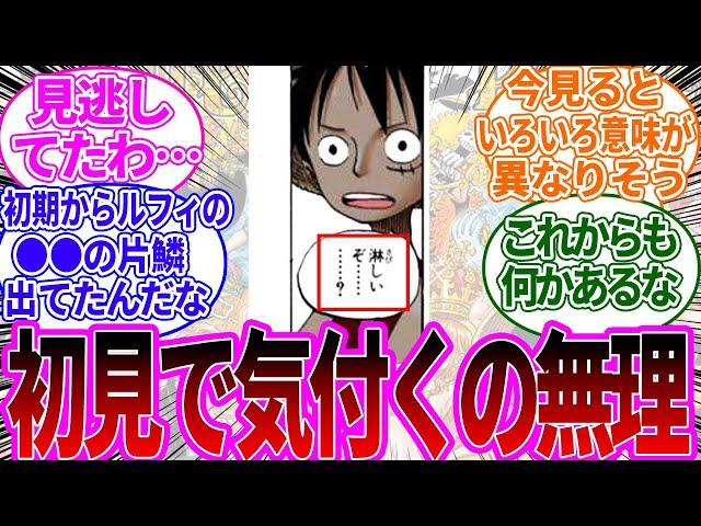 見逃してた…！初見では気づかなかった描写といえば？に対する読者の反応集【ワンピース反応集】