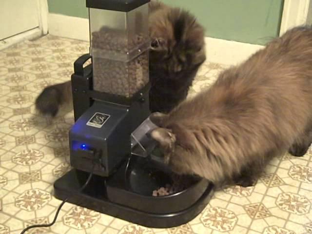 Super Feeder CSF-3 First time use