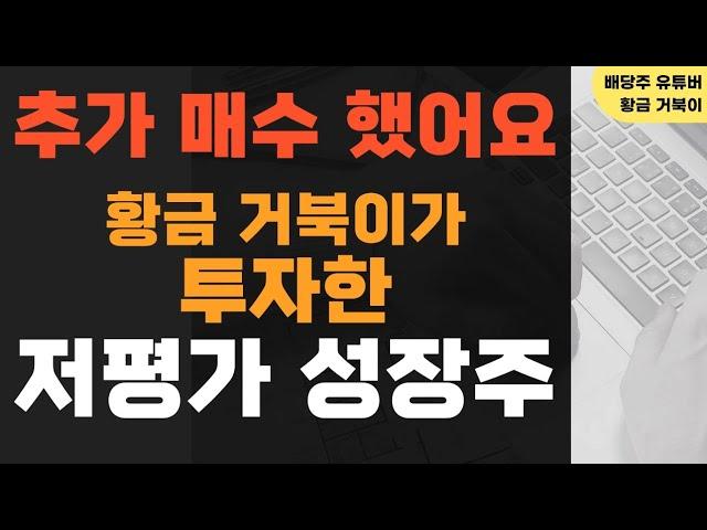 추가 매수 했어요 황금 거북이가 투자한 저평가 성장주