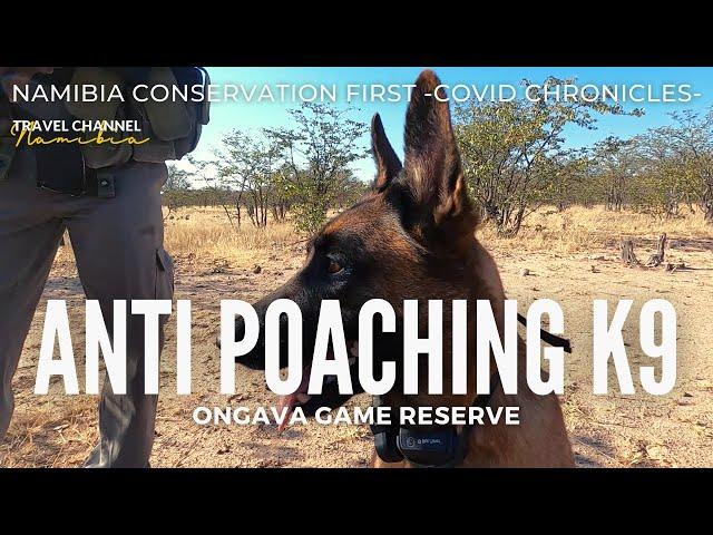 E10 ANTI POACHING K9 UNIT