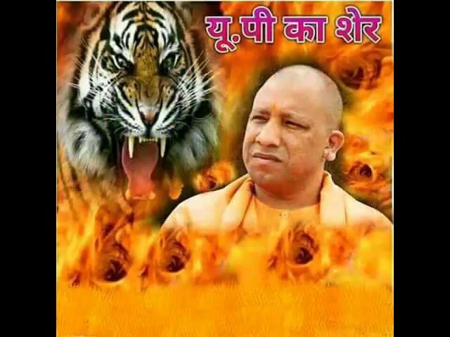 Yogi Lion in Hindu
