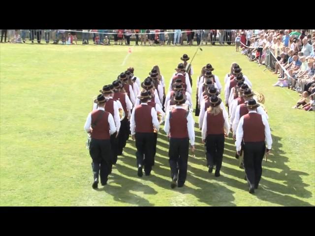 Musikverein Schwertberg | Marschwertung Bmf 2017 in Pregarten