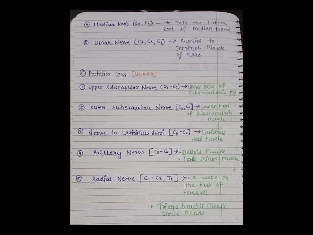 brachial plexus hand written notes anatomy... with simple fig:- brachial plexus