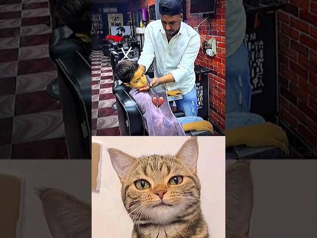 smart boy #cat #memes #funny #trending