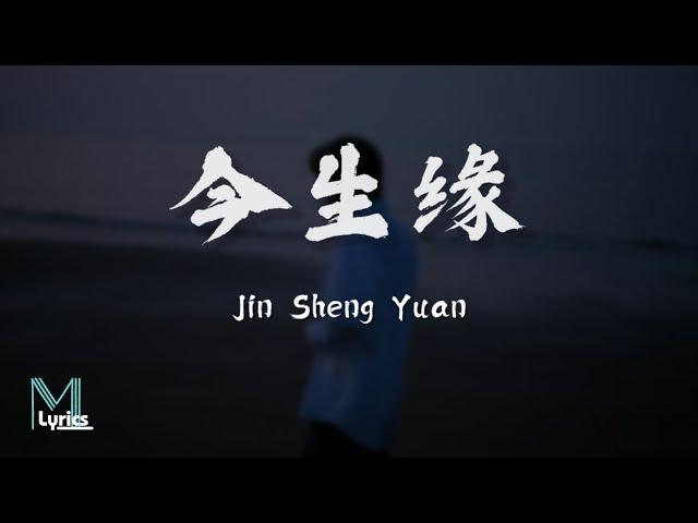 Wang San (王三) - Jin Sheng Yuan (今生缘) Lyrics 歌词 Pinyin/English Translation (動態歌詞)