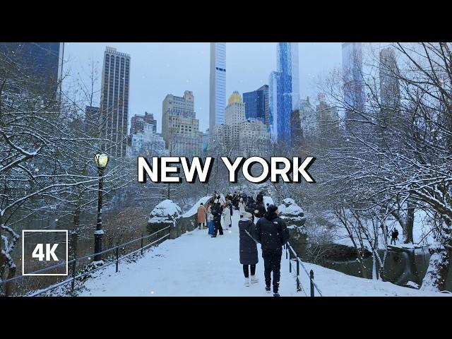 Winter Magic in Central Park, New York | Walking in Central Park in the Winter Snow