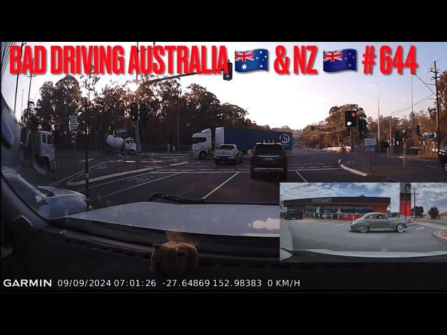 BAD DRIVING AUSTRALIA & NZ # 664 …Tree Down