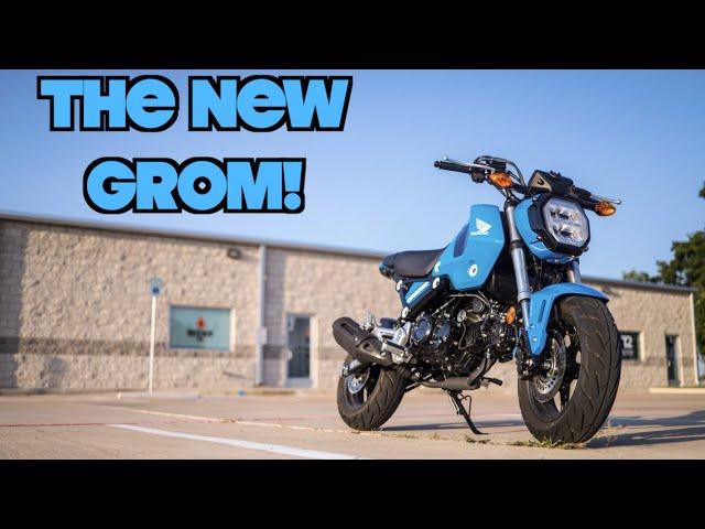 The Brand New 2022 Honda Grom!