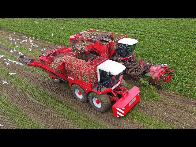 Vervaet Beet Chaser 25 - the Riley beet chaser conversion