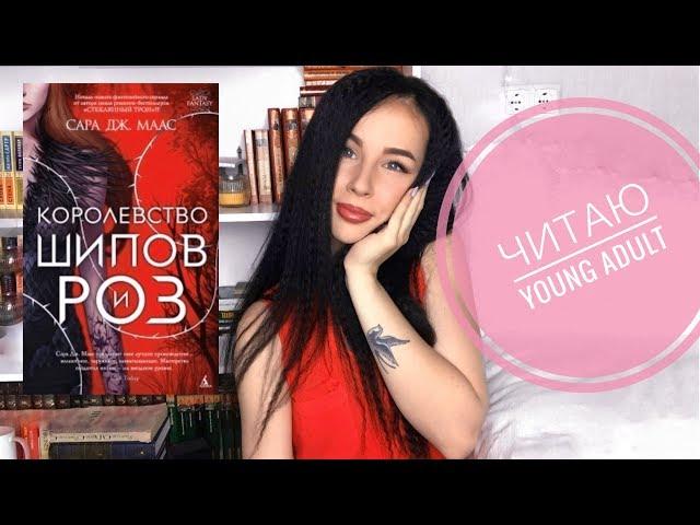 ШОК! ЧИТАЮ YOUNG ADULT || "КОРОЛЕВСТВО ШИПОВ И РОЗ" САРА ДЖ. МААС