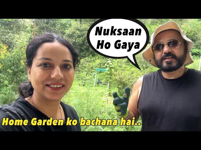 2 Saal ki mehnat aur Nuksaan ho gaya || How we saved our home garden plants from insects