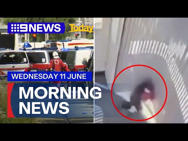11 killed in Austrian school shooting; Sydney aerobridge fall | 9 News Australia