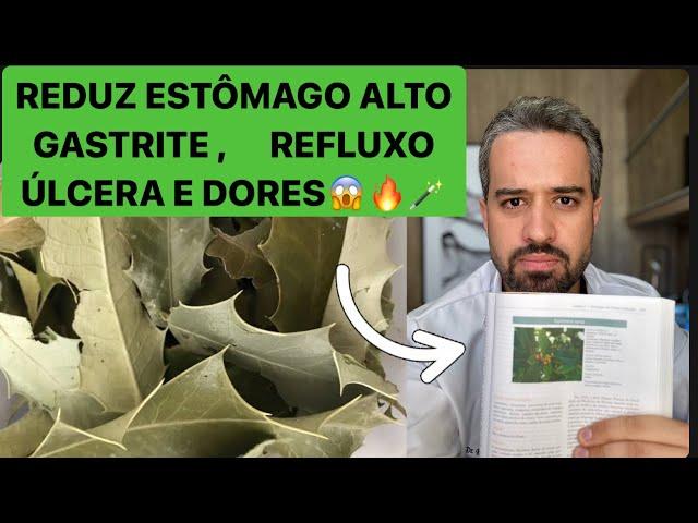 Beba 1X ao DIA -CHÁ DIGESTIVO Reduz Estômago ALTO, Gastrite, Refluxo, Gases e DORES no Estômago