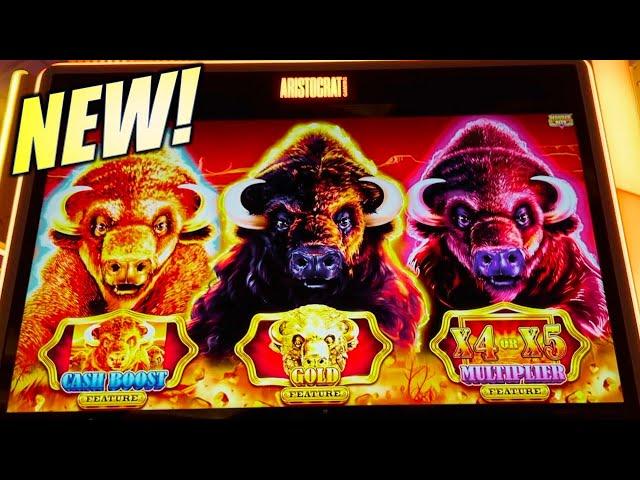 Will you be playing this NEW Buffalo Game? BUFFALO GOLD CASH COLLECTION Slot Machine (Aristocrat)