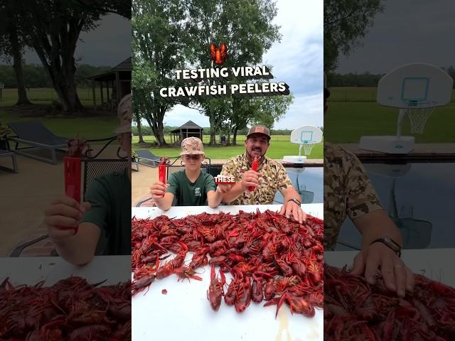 TESTING VIRAL CRAWFISH PEELERS