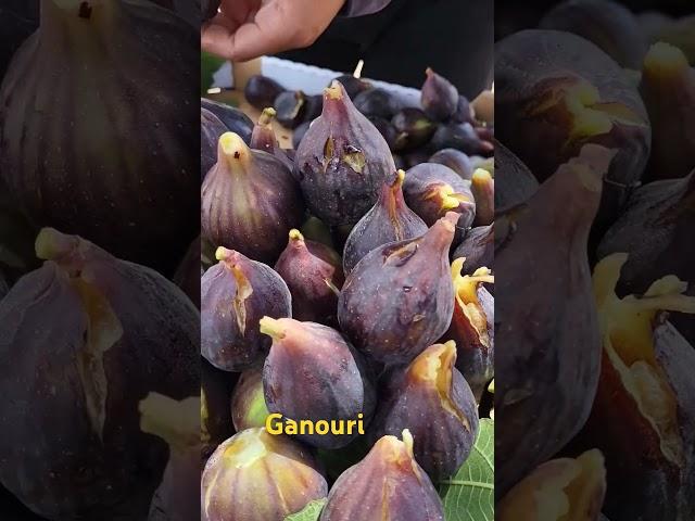 موسم فاكهة باكور منطقة الشرقية بركان #ganouri