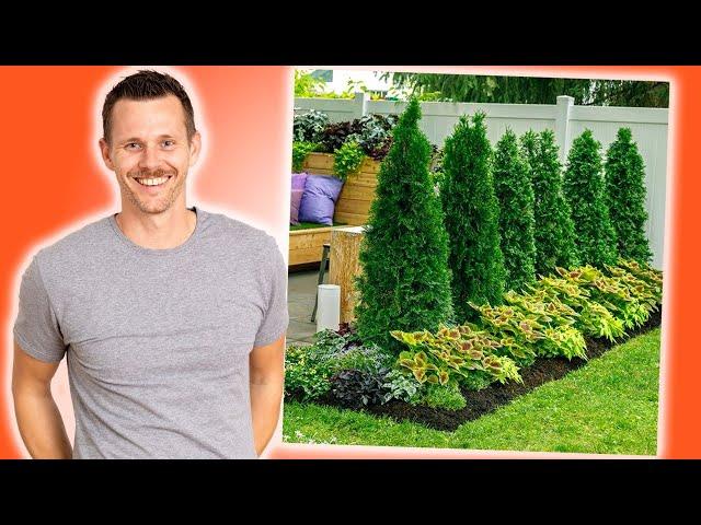 3 SIMPLE Budget-Friendly Landscape Designs