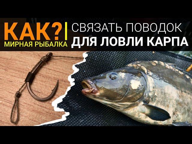 Как связать поводок для ловли карпа? Простой и эффективный волосяной монтаж.