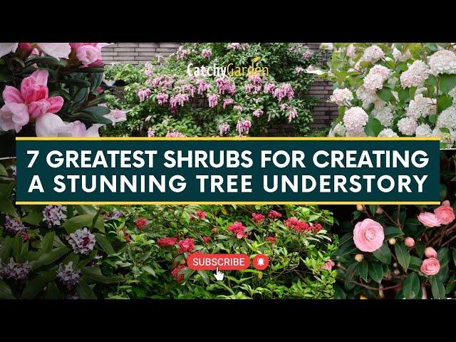 7 Greatest Shrubs for Creating a Stunning Tree Understory  // Gardening Tips