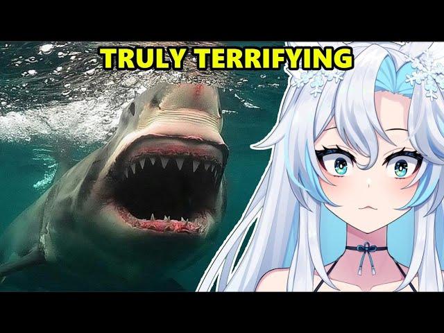 Sharks Are Unbelievable And Here's Why || Casual Geographic React