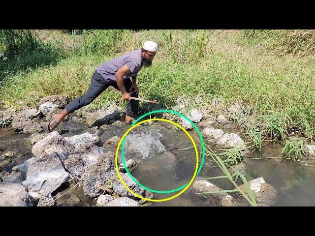 Kismet se milta hai aisa mauka|luck by Chance catching in Big Patanfishes|