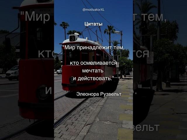 От мечты к реальности: сила действия! #цитаты #мечты #действия #цели