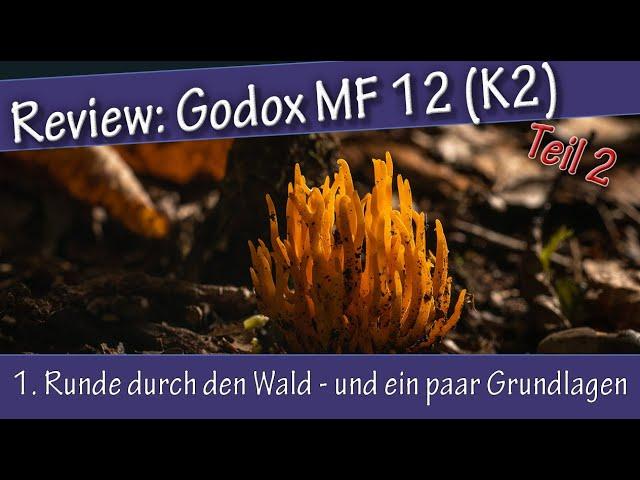 Godox MF12 Blitz Review  - 1. Runde durch den Wald - und ein paar Grundlagen - Teil 2