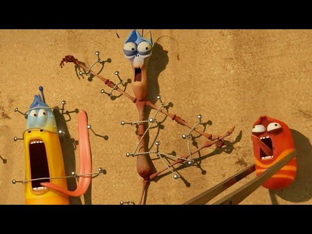 LARVA | INSECT KILLER | Cartoons For Children | LARVA Full Episodes | Cartoons For Children