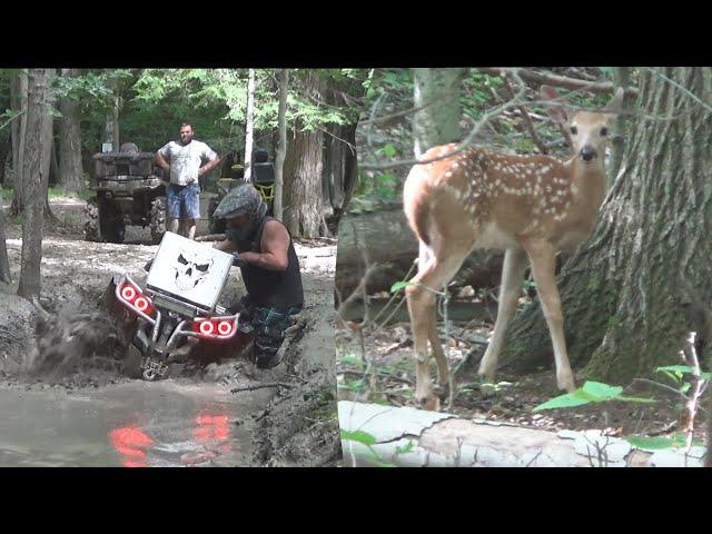 FAWNS WATCHING US PLAY IN THE MUD!