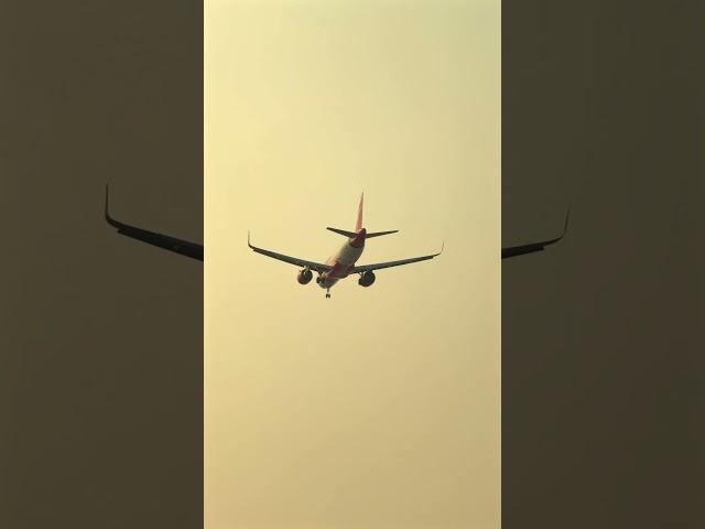 Air India Airbus A320neo landing in Golden Hour at Mumbai ️ #AirIndia #aviation #A320neo #landing