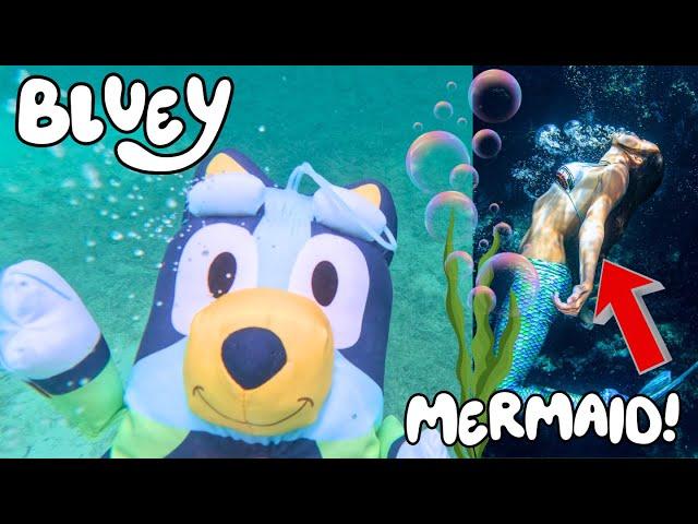 Bluey and Bingo Magical Cruise Adventure: Scuba Diving, Buried Pirate Treasure, Mermaids and more!