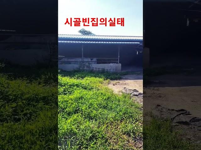 #청도한옥 #청도부동산 #청도땅매매 #청도촌집매매