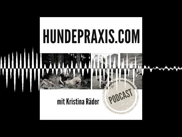 Abbruchsignale bei Hunden - Hundepraxis - der Podcast