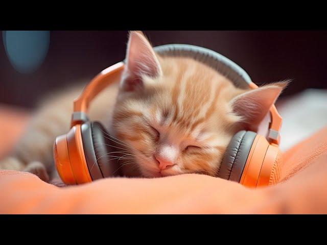 Calming Music for Anxious Cats: Soothing Sounds for Deep Relaxation and Sleep