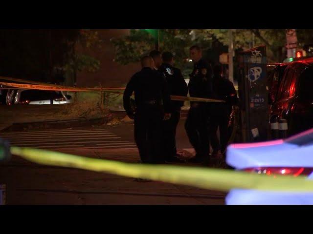 11-year-old boy shot in the leg in the Bronx