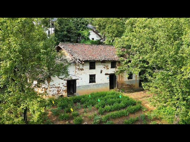 Beautiful girl spends $10,000 to Builds House in countryside area after resignation