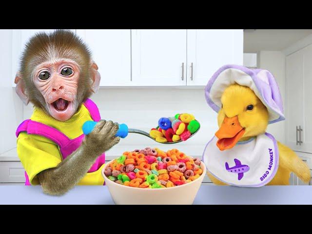 Bibo Monkey Spend 24 Hours to Take Care of Cute Duck and Go Swimming Pool | KUDO ANIMAL BIBO