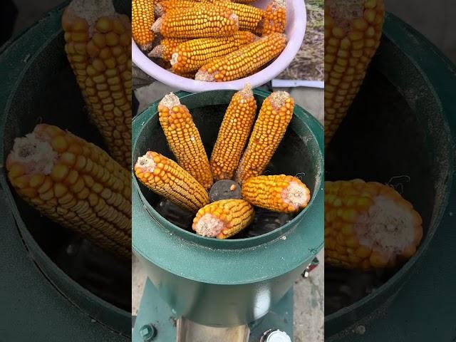 Inclined Rollers in Feed Pellet Machine