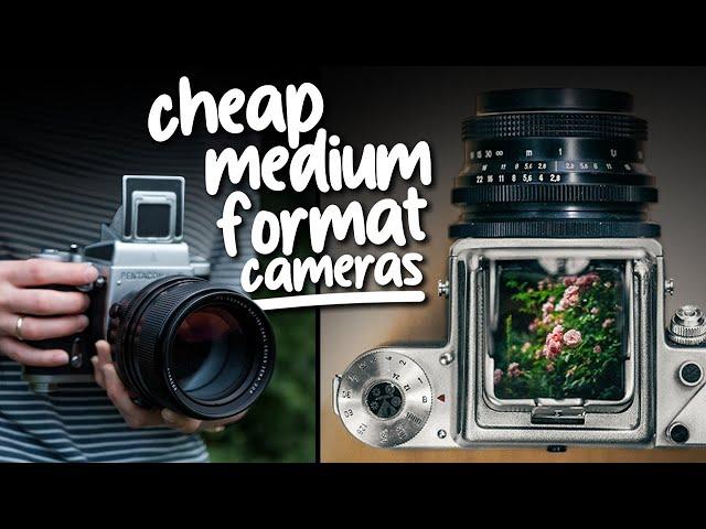 Cheap Medium Format Cameras in 2025!