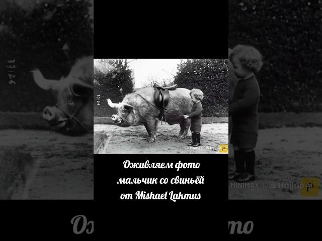 Оживляем фото мальчик со свиньёй от Mishael Lakmus