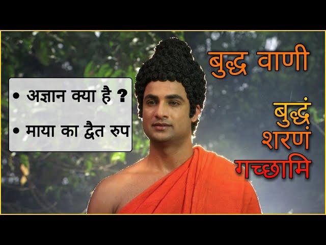 Buddha Teachings | 02 | अज्ञान क्या है ? | माया का द्वैत रूप  | Buddha Serial