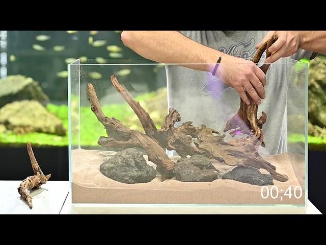 Speed Hardscape Inspiration | 99 seconds with Andy @glaskastenkunst | Driftwood & black lava rocks