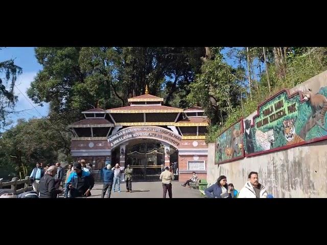 Darjeeling Tour Short Video  ️