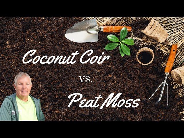 Coconut Coir vs.  Peat Moss | Different Soil Media for Potted Plants