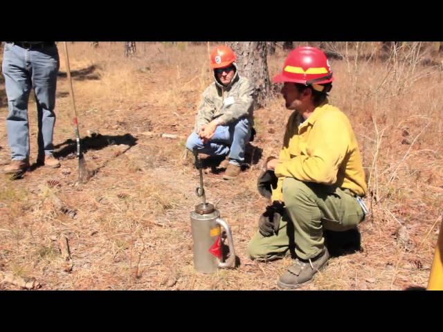 Virginia Forest Landowner Education Program Impact - Sally Taylor