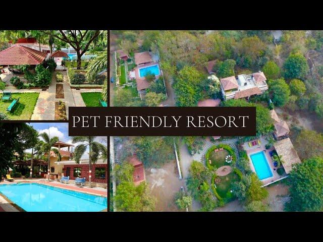 Pet Friendly resort in Hyderabad #petfriendly #Buttoneyesresort #hyderabadrestaurants  #resort