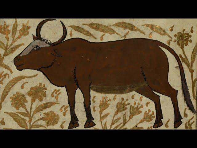 How to Celebrate Lunar New Year 2021 | the Walters Art Museum