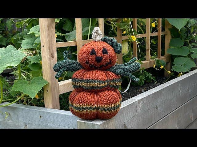 Pumpkin Scarecrow ~ Addi / Sentro : Circular Knitting