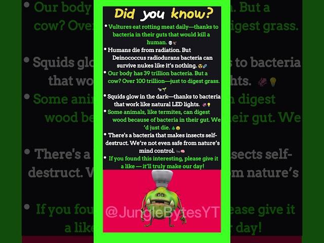 Did You Know Cow have  Over 100 trillion Bacteria.