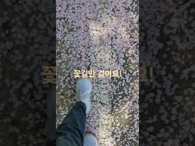2024년 4월 14일